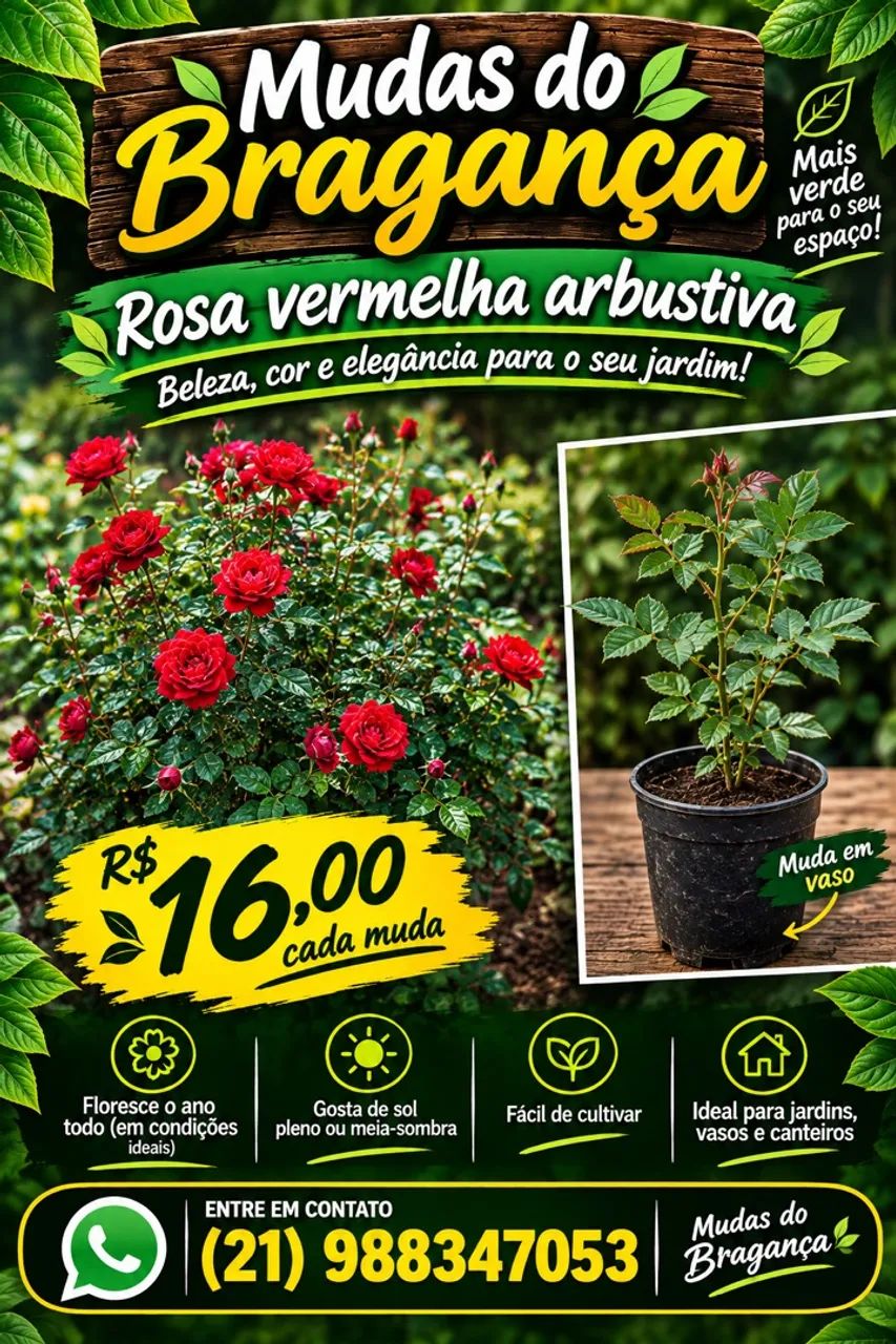 Planta