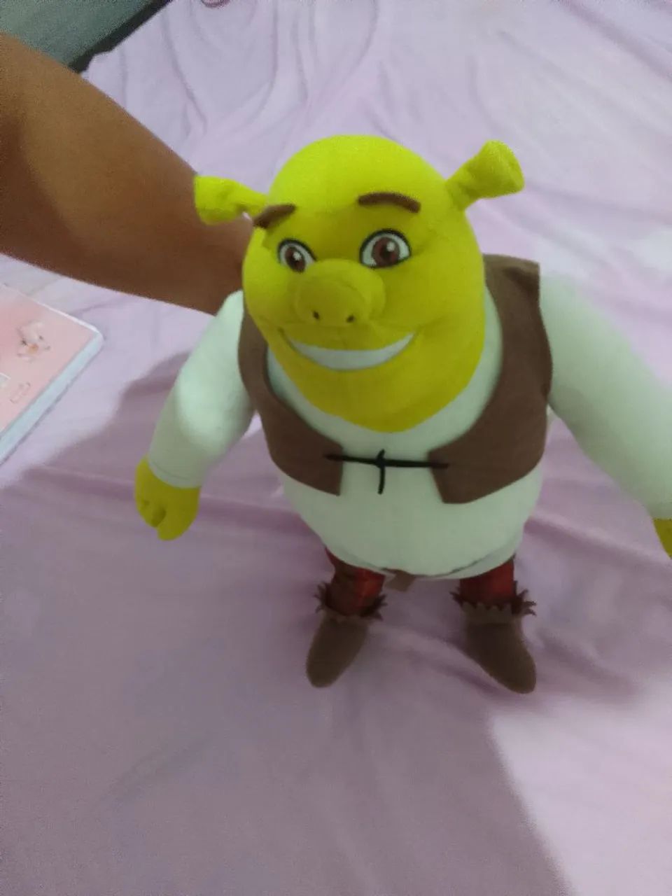 Urso Shrek  - Foto 3