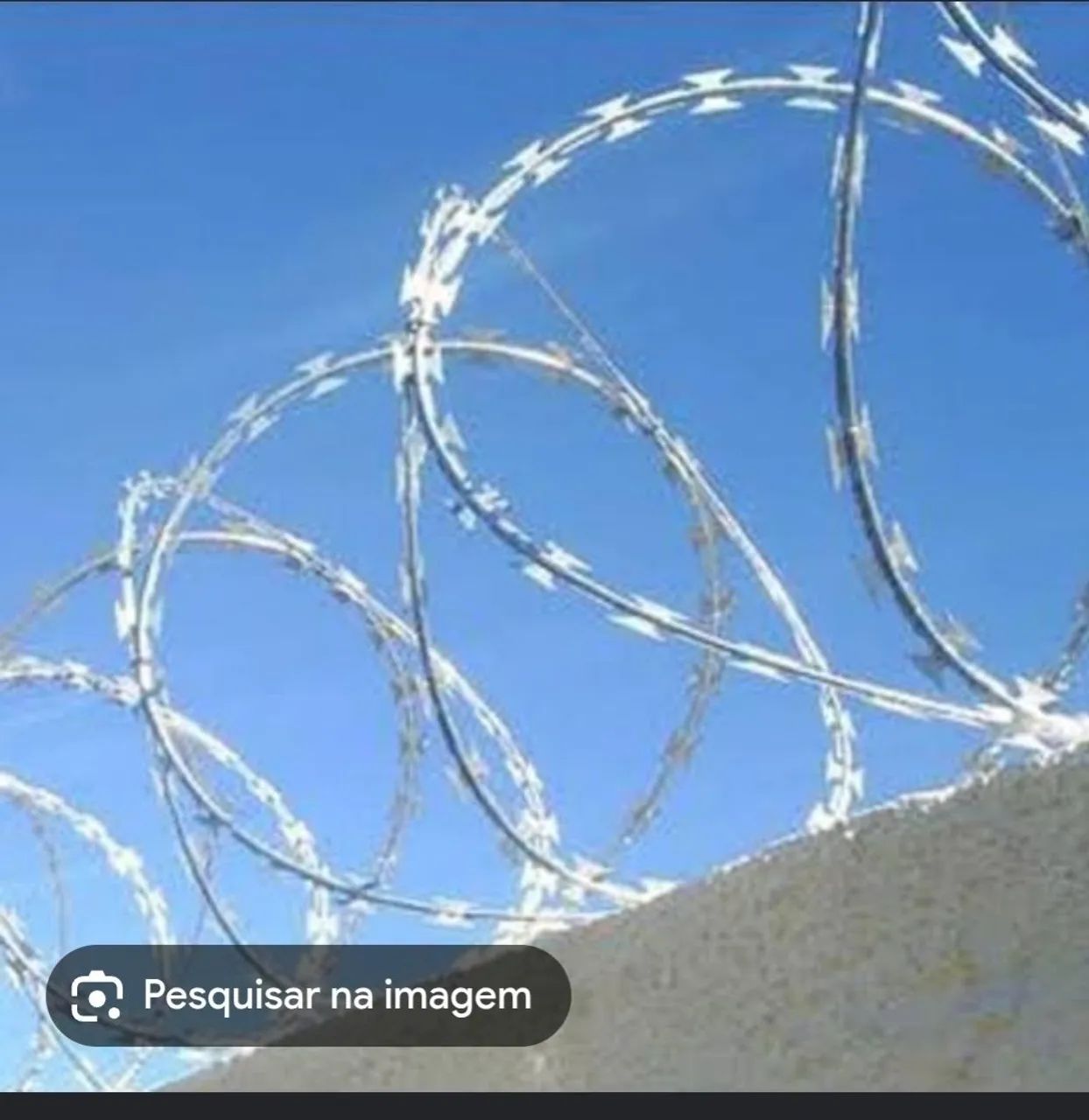 Consertinas e ou cercas cortantes - Foto 3