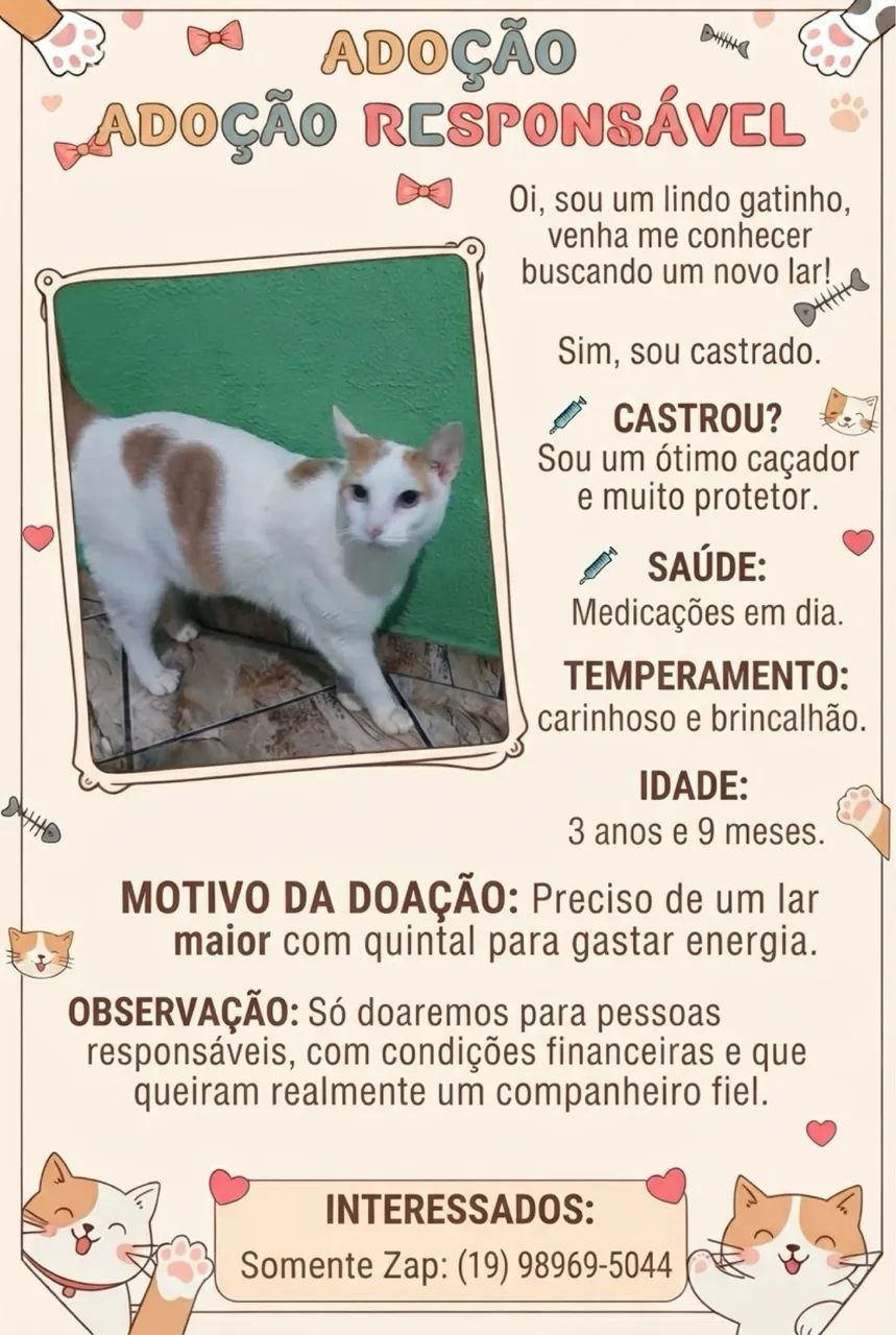 Doação Responsável 