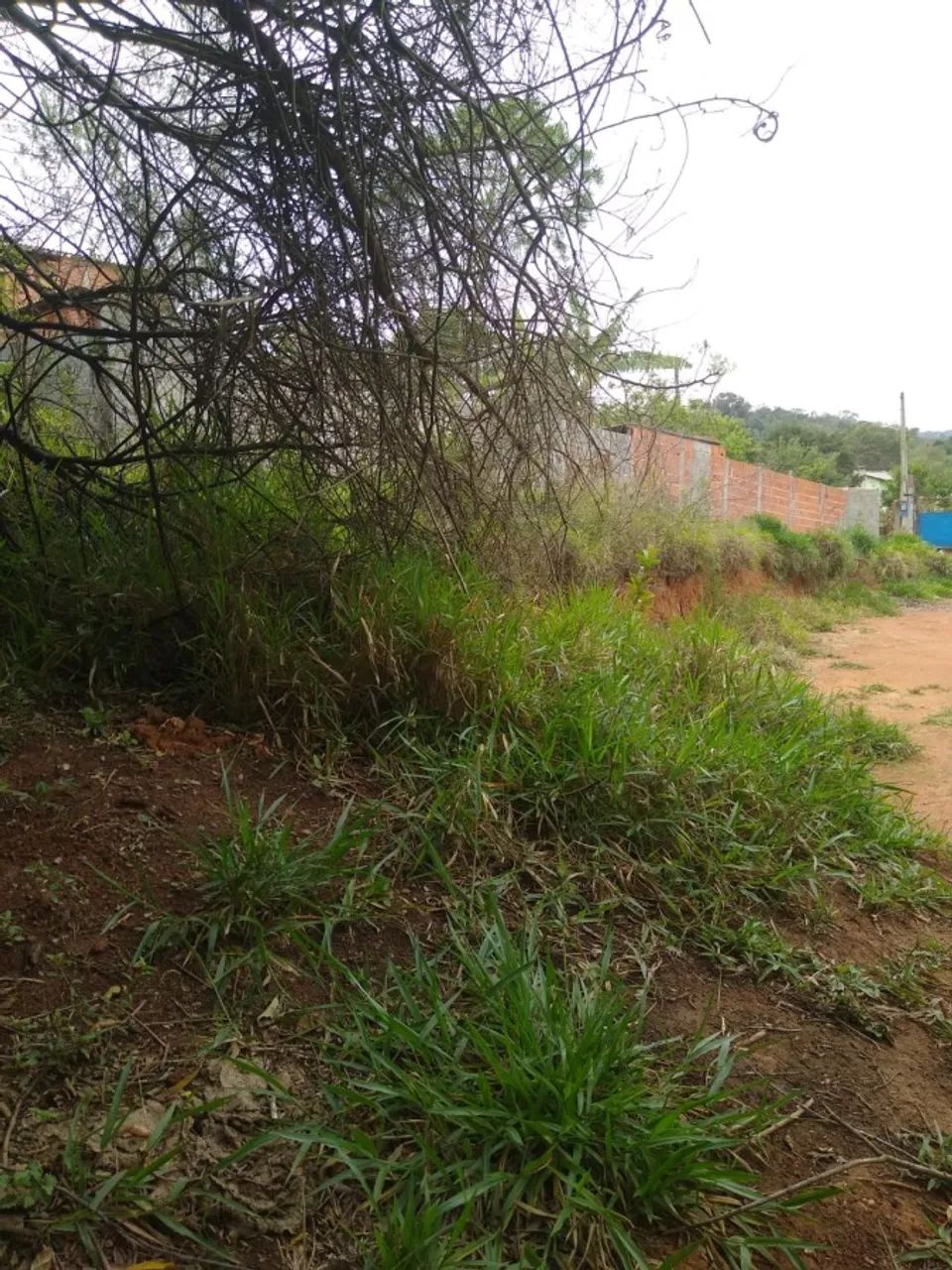 Terreno para Venda em Piedade, Jurupara - Foto 3
