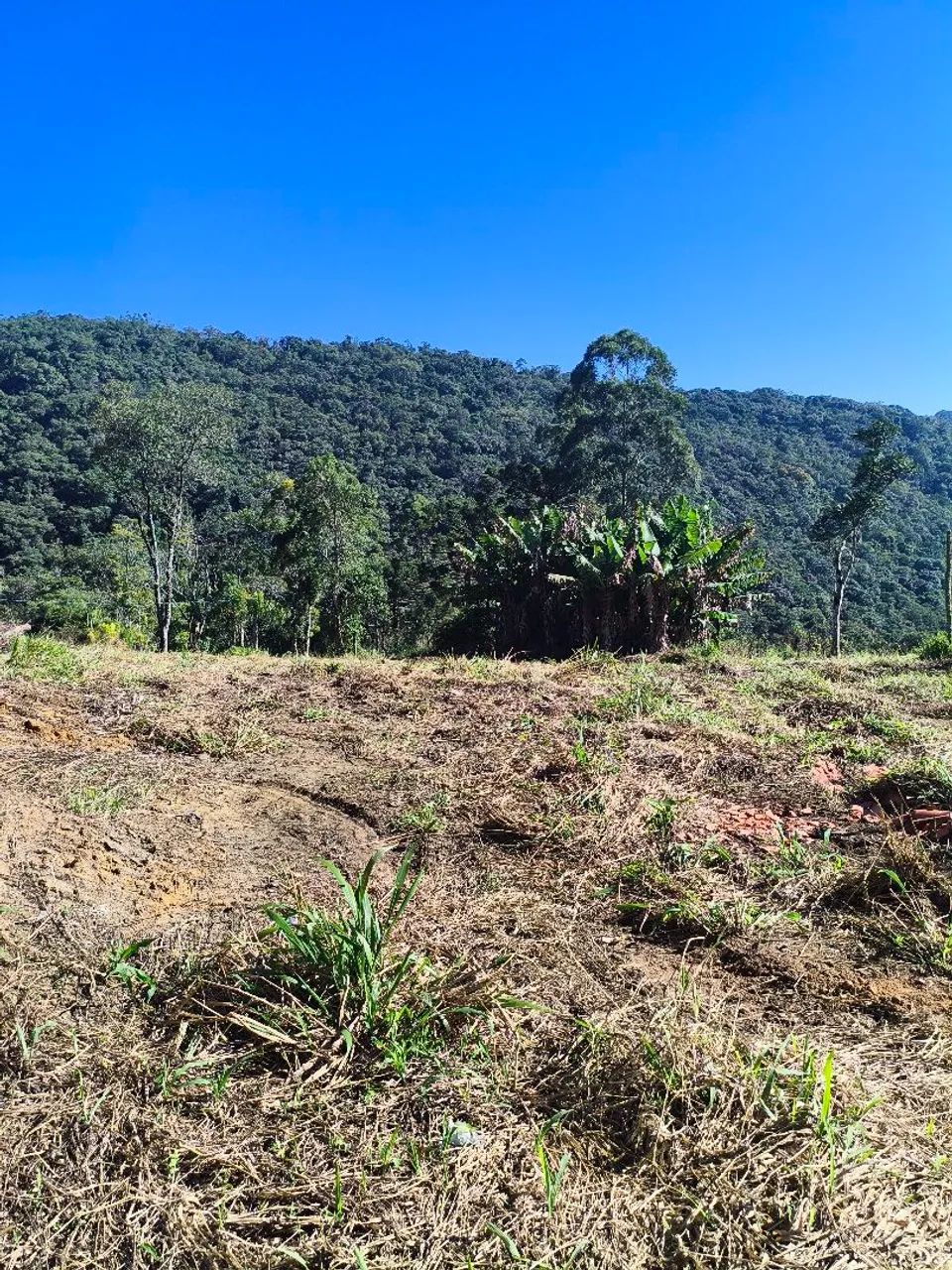 Terreno pronto para construir e plantar!  - Foto 2