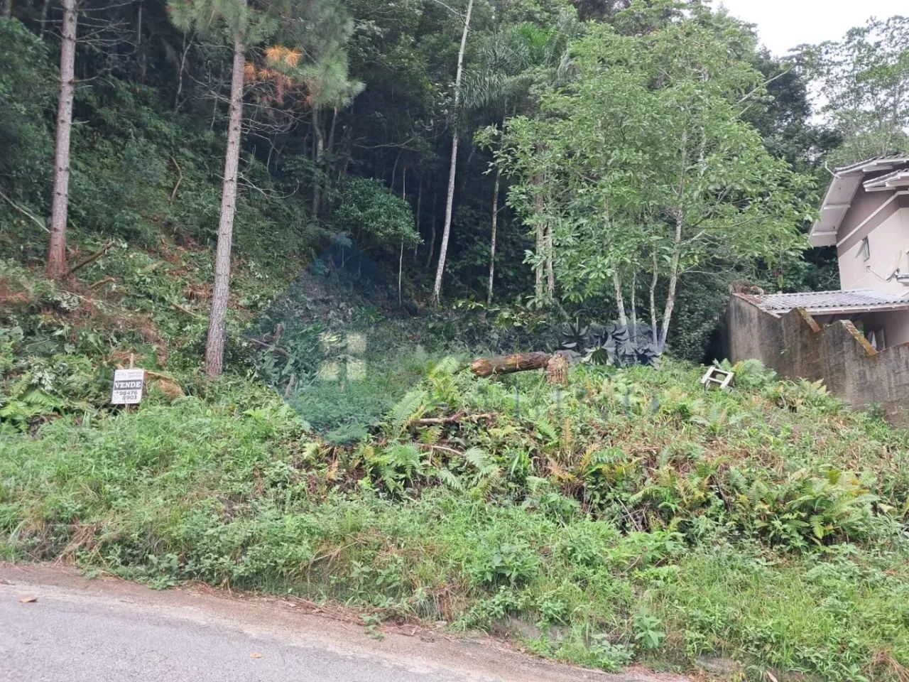 Terreno para venda, Potecas, São José - Foto 4