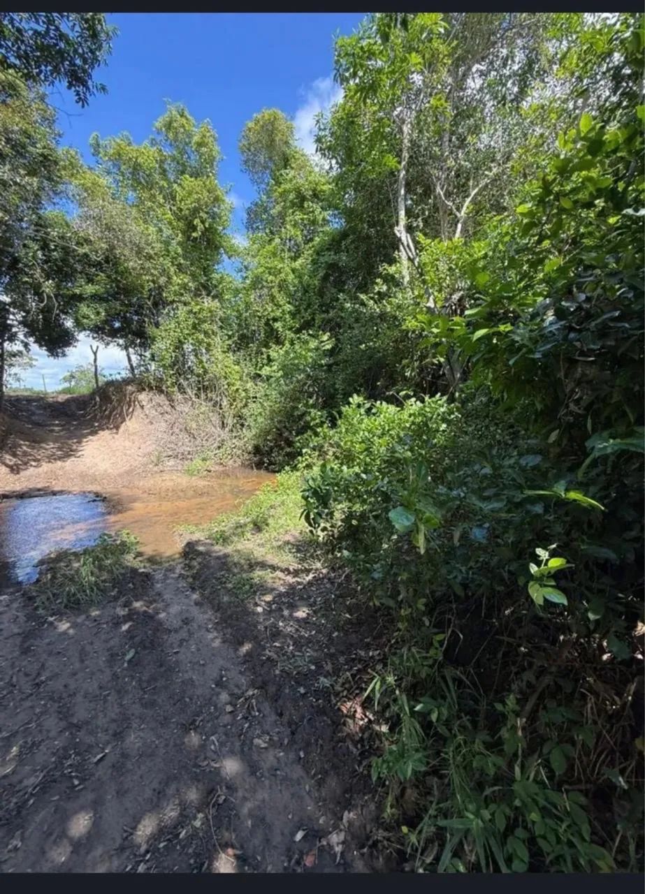 Vendo Fazenda em Lagarto  - Foto 2