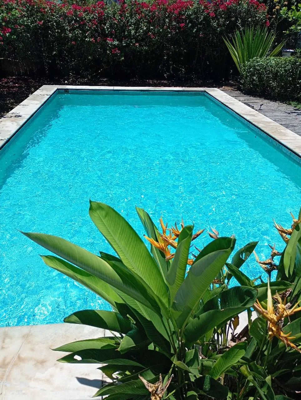 PISCINEIRO DE PLANTÃO  - Foto 3