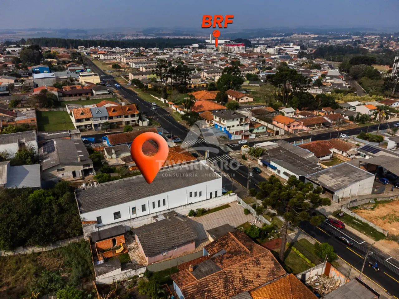 Comercial Loja em Ponta Grossa - Foto 3