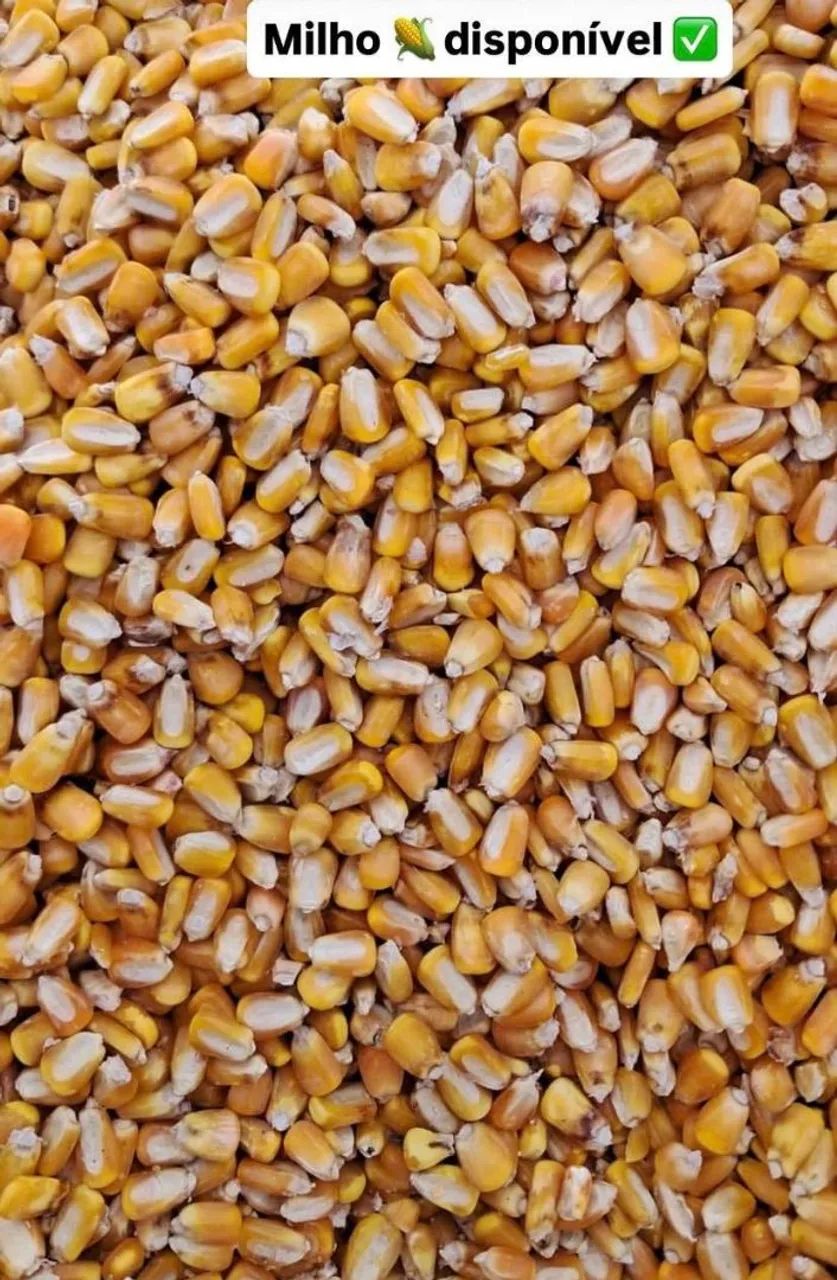 VENDA DE PRODUTOS AGRÍCOLAS  - Foto 3