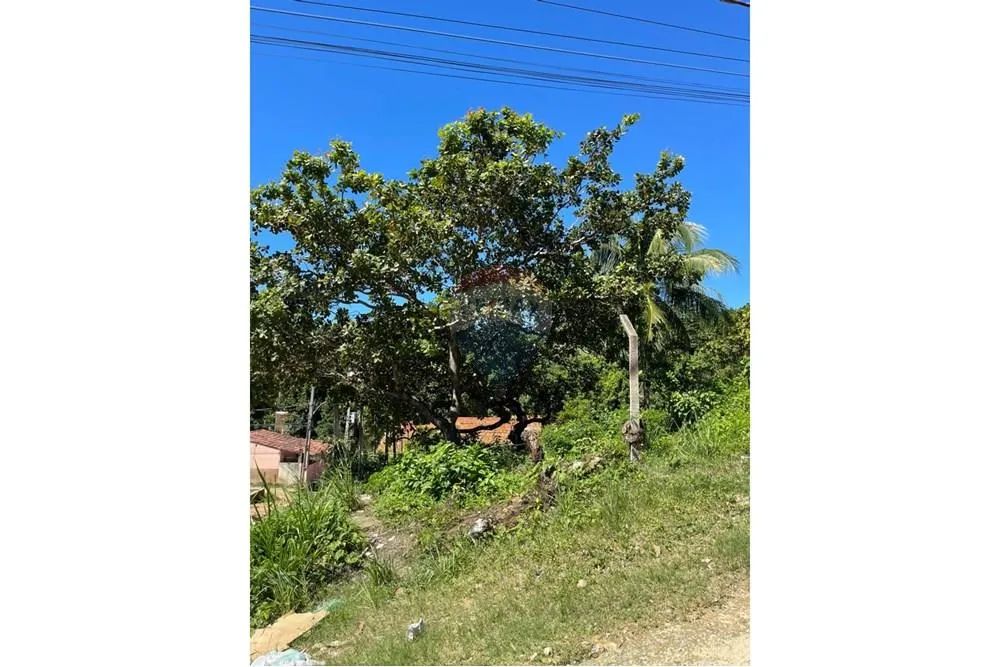 Terreno em guaxuma Maceió, AL-101 - Foto 7