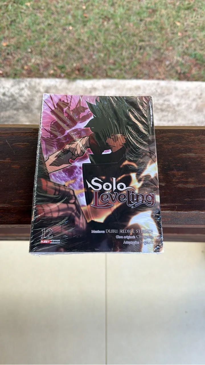 Mangá solo leveling 12