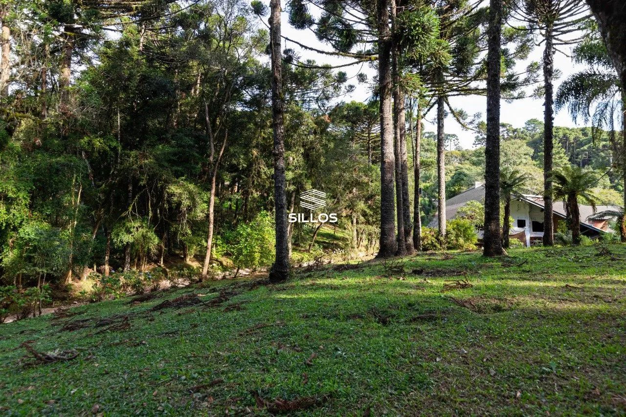 Chácara à venda com 80.000m² em Butiatuvinha em Curitiba - Foto 4
