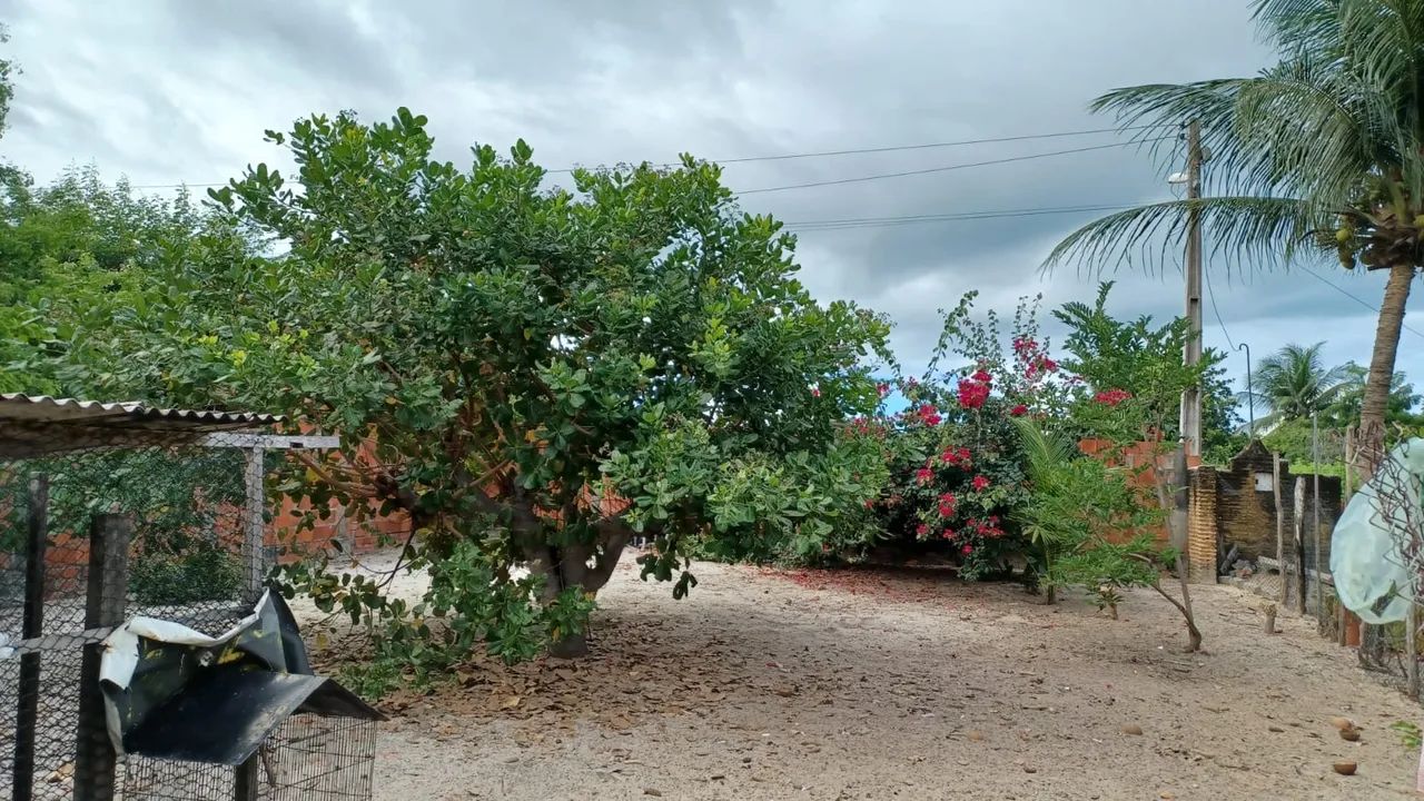 Vendo terreno 35.000,00 pecem - negociável 