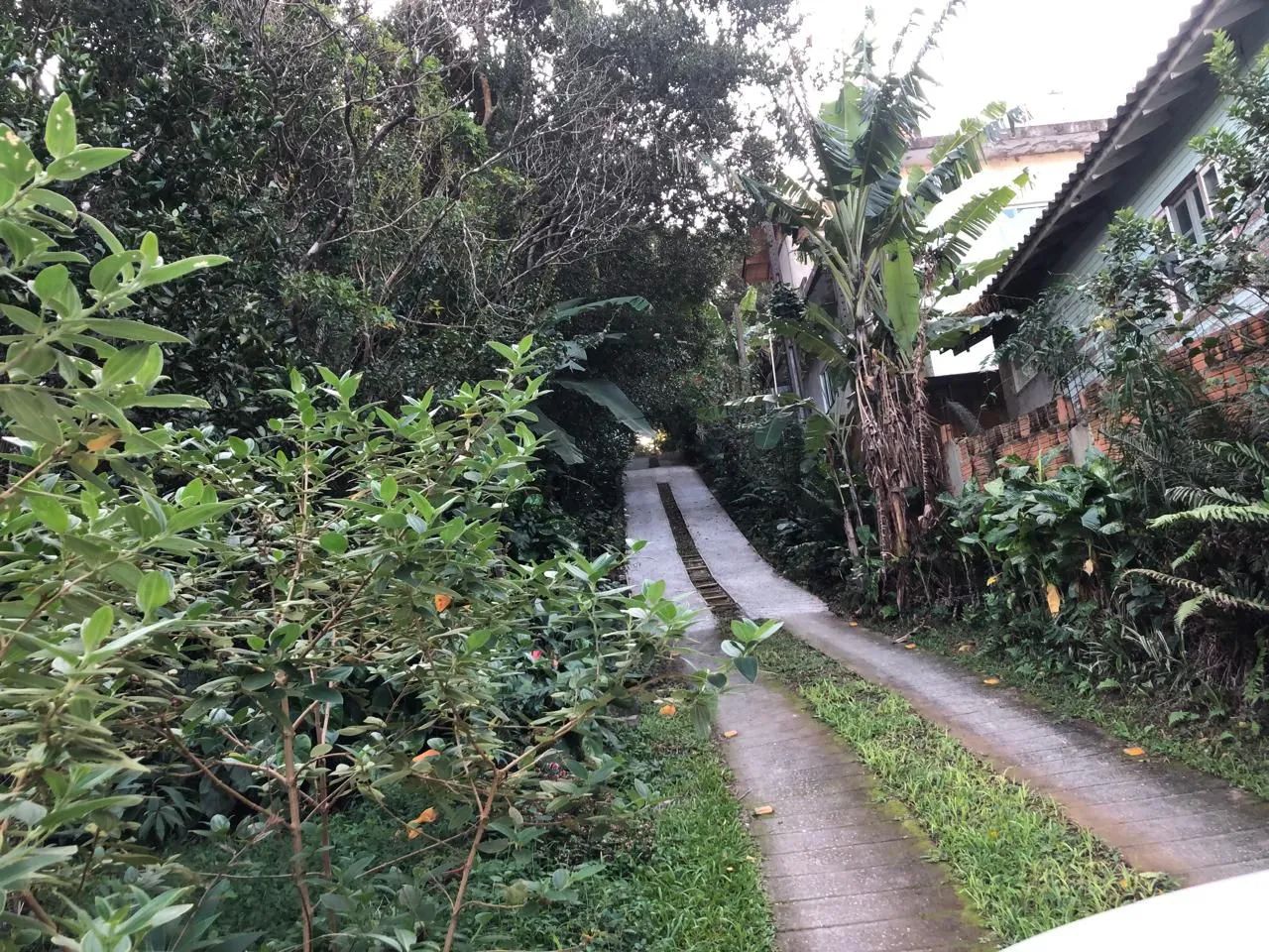 Terreno Ribeirão da Ilha Florianópolis  - Foto 5