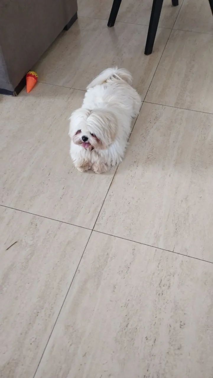 doação  - Foto 2