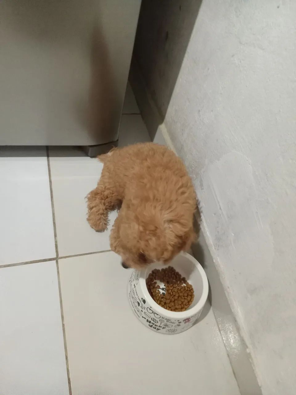 Vende-se  - Foto 5