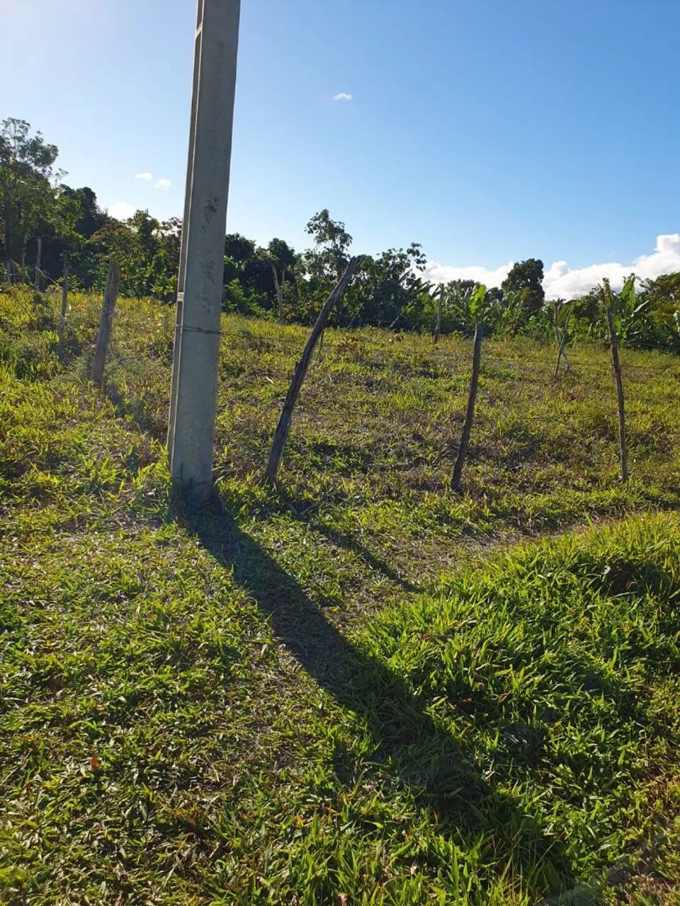 Terreno - Foto 2