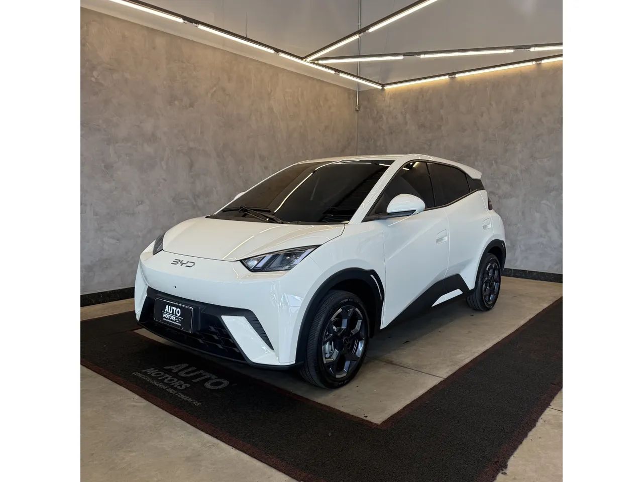 BYD Dolphin Mini (Elétrico) 2027