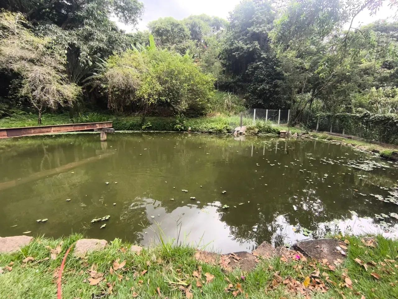 Chácara com lago  -  Vale Verde -Valinhos - SP - Foto 5