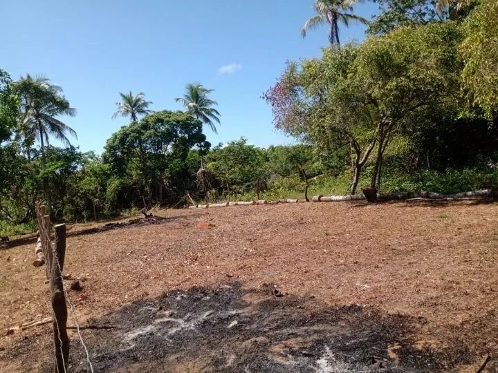 Foto - Mata de São João - 