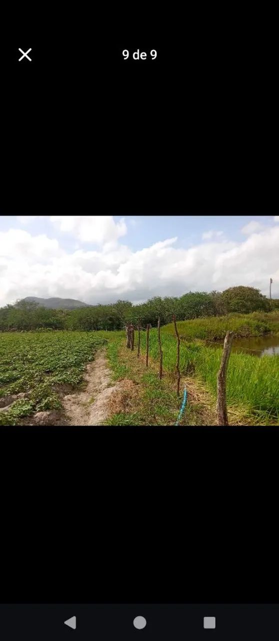Sítio de irrigação  - Foto 4