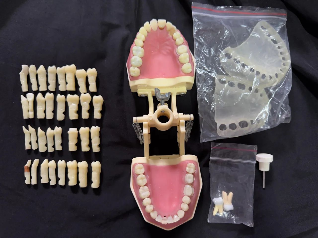 Manequim multidisciplinar 