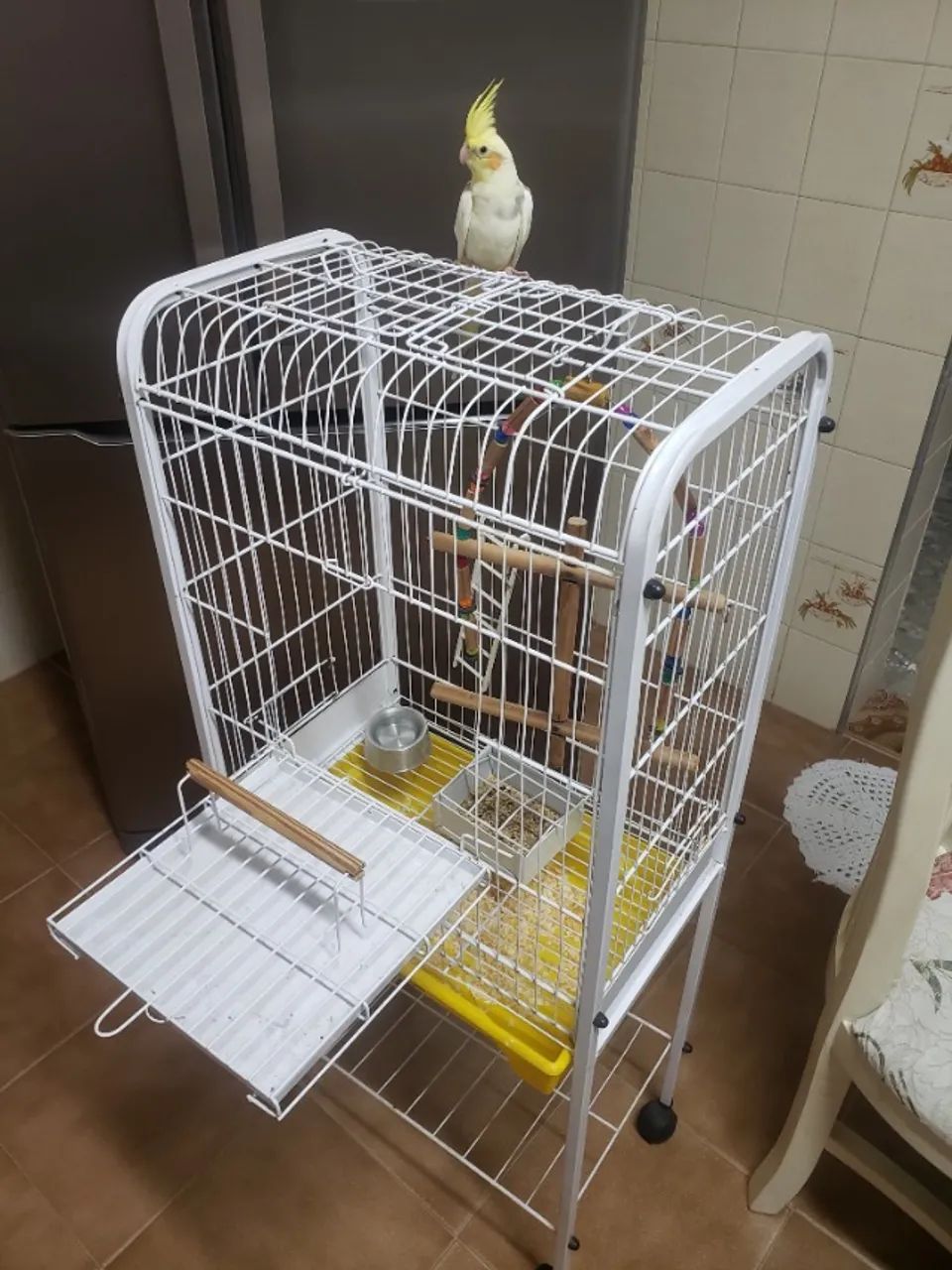 Gaiola para Calopsita 