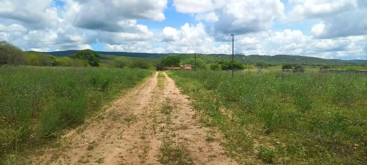 FAZENDA À VENDA EM RIACHUELO/RN - Foto 2