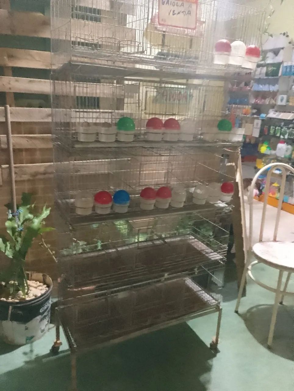 Viveiro para criação de pássaros e codorna  - Foto 4