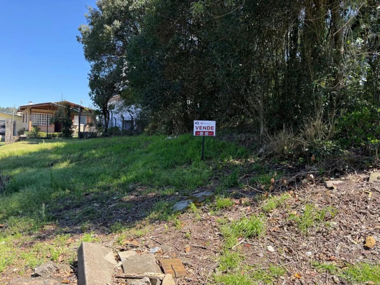 Terreno Comercial - Bairro Prinstrop - Foto 2