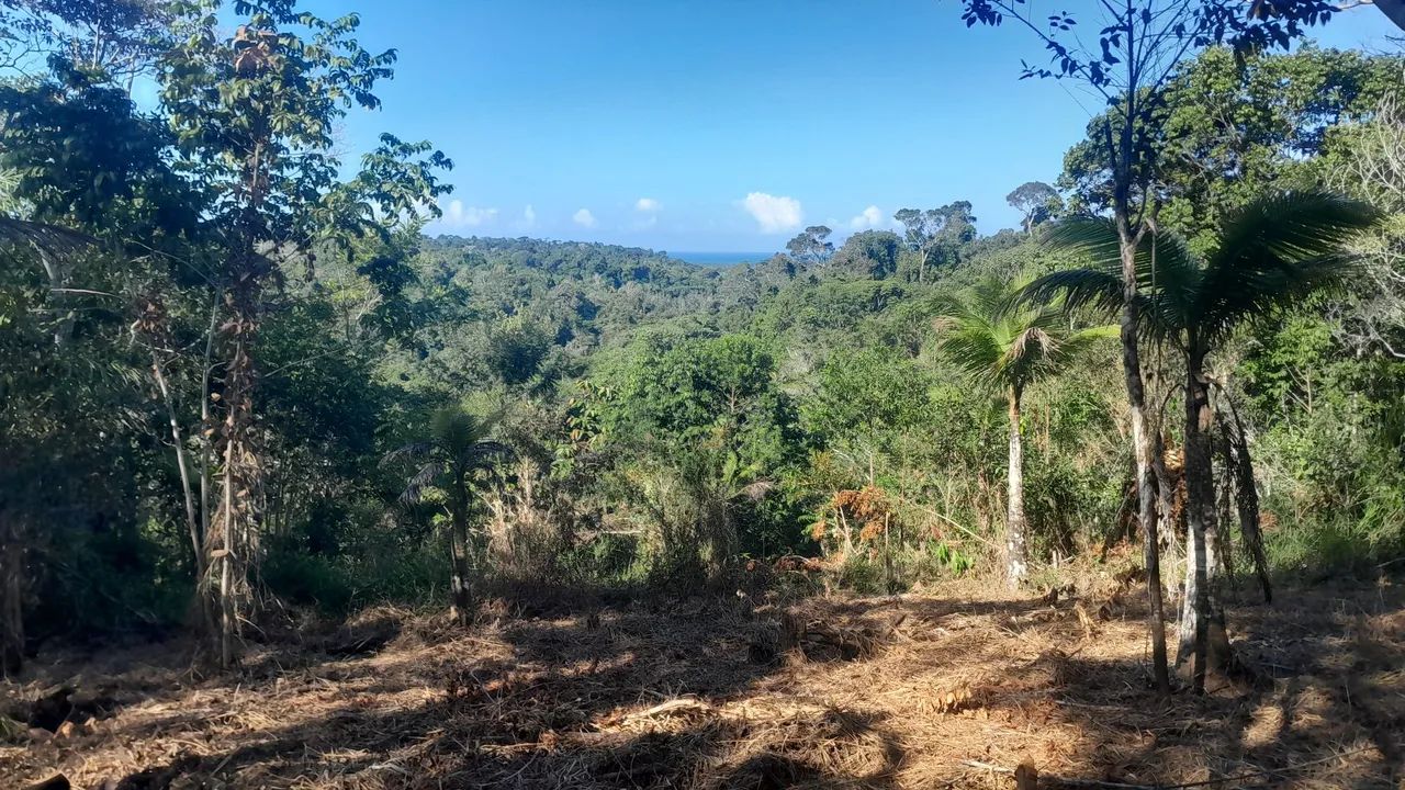 Sítio Itacaré Bahia - Foto 2