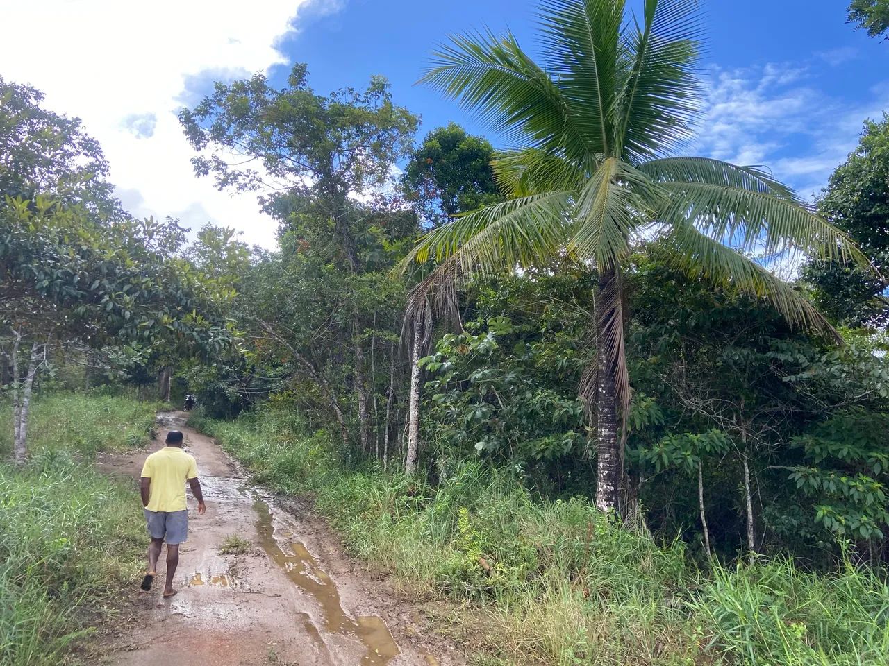 Terrenos 8x20 Itacaré (Próximo das praias) - Foto 2