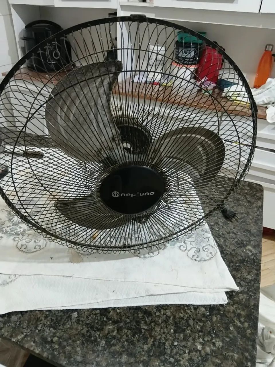 Ventilador Neptuno - Foto 5