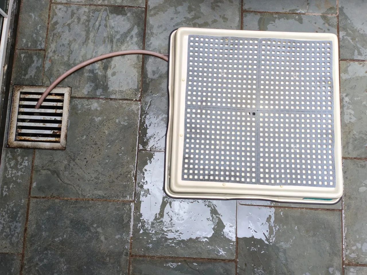 Weasy - banheiro higiênico para cachorro - Foto 2