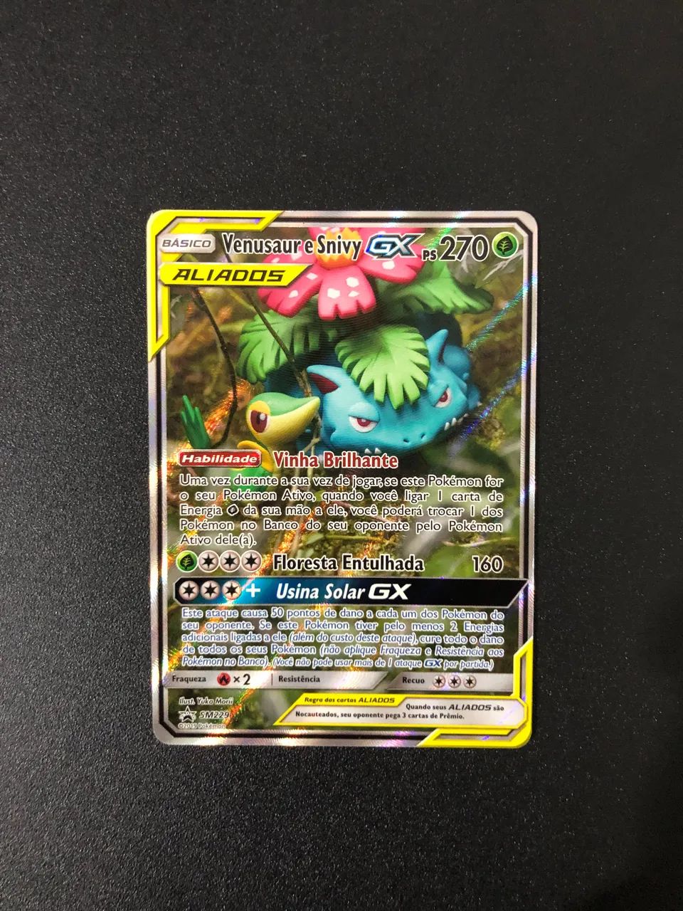 Venusaur e Snivy GX