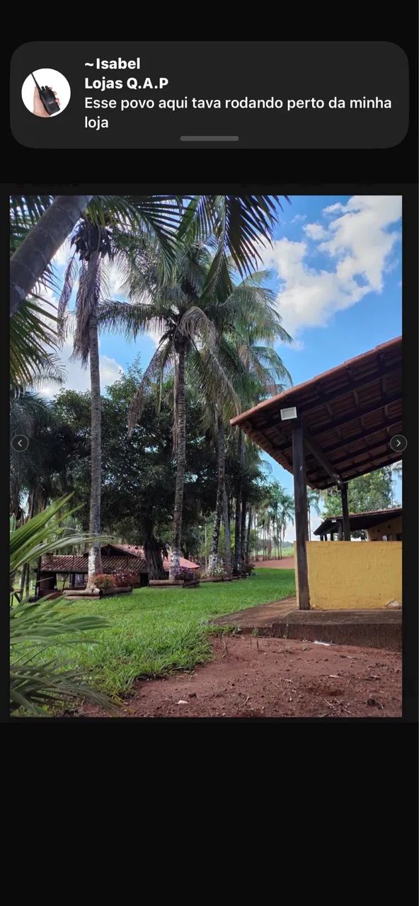 Sitio de 5 alqueiro rico em agua  - Foto 5