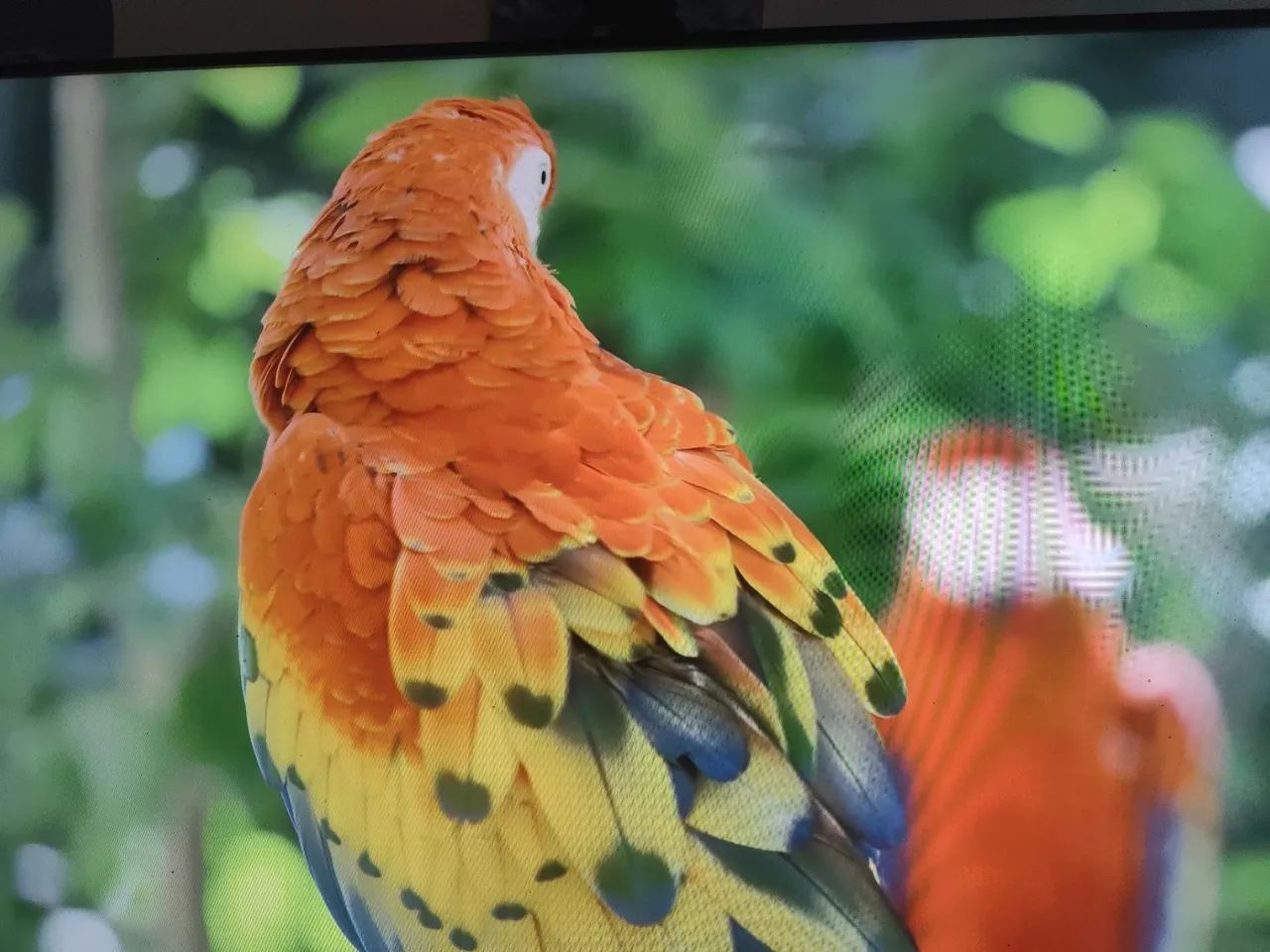 TV PHILCO DOLBY ÁUDIO 4KUHDTV PHILCO DOLBY ÁUDIO 4KUHD - Foto 3