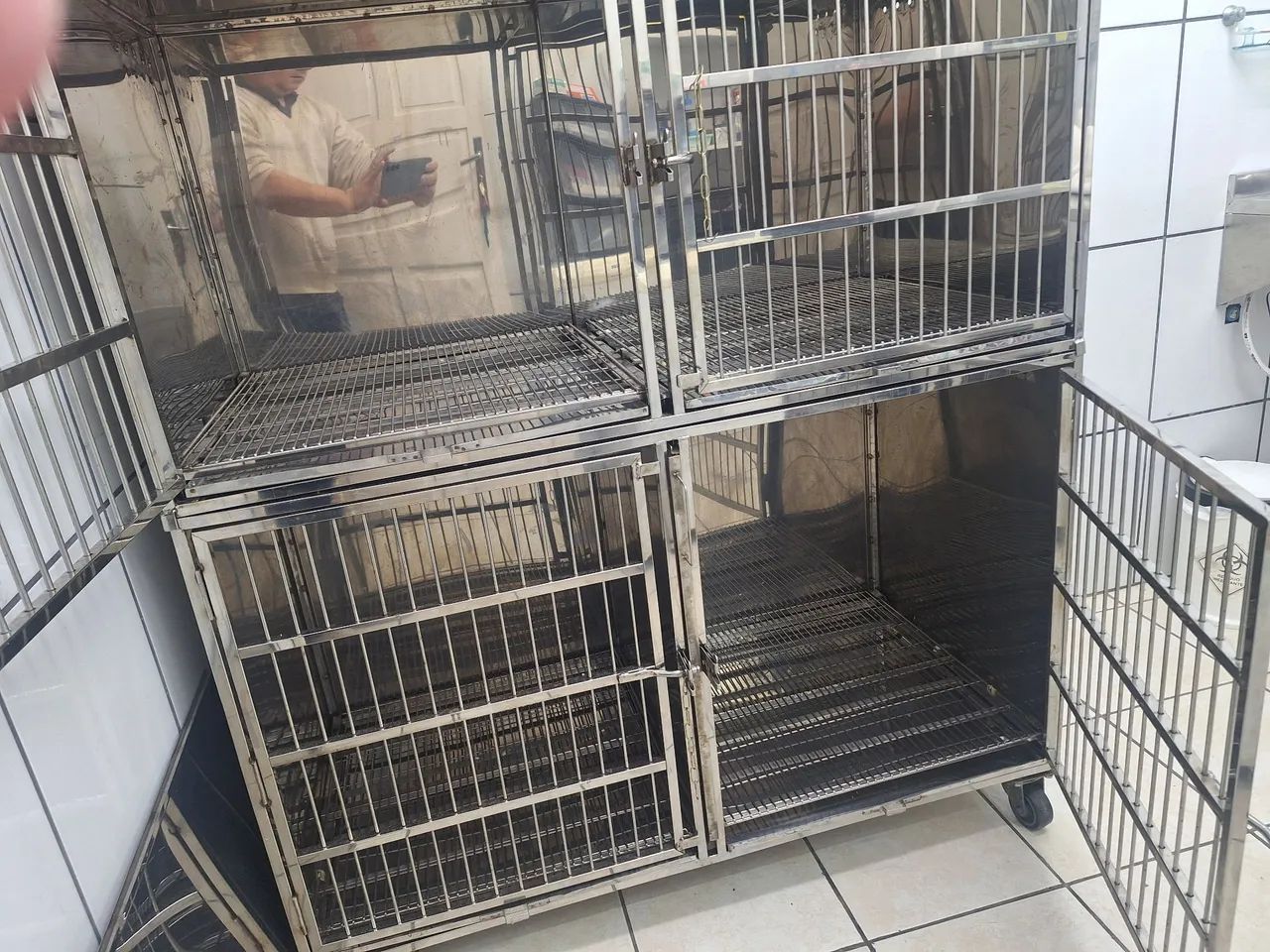 Canil aço inox para 7 animais - Foto 2