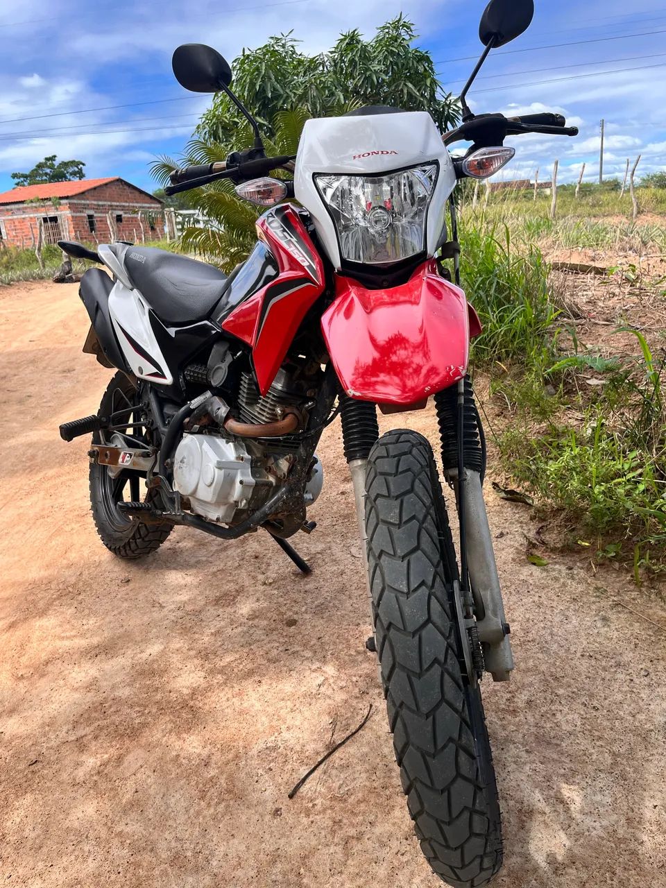 Broz pronta pra transferir  - Foto 4