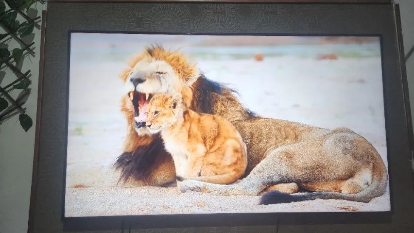 Tv Led 4k LG 65 polegadas - Foto 2