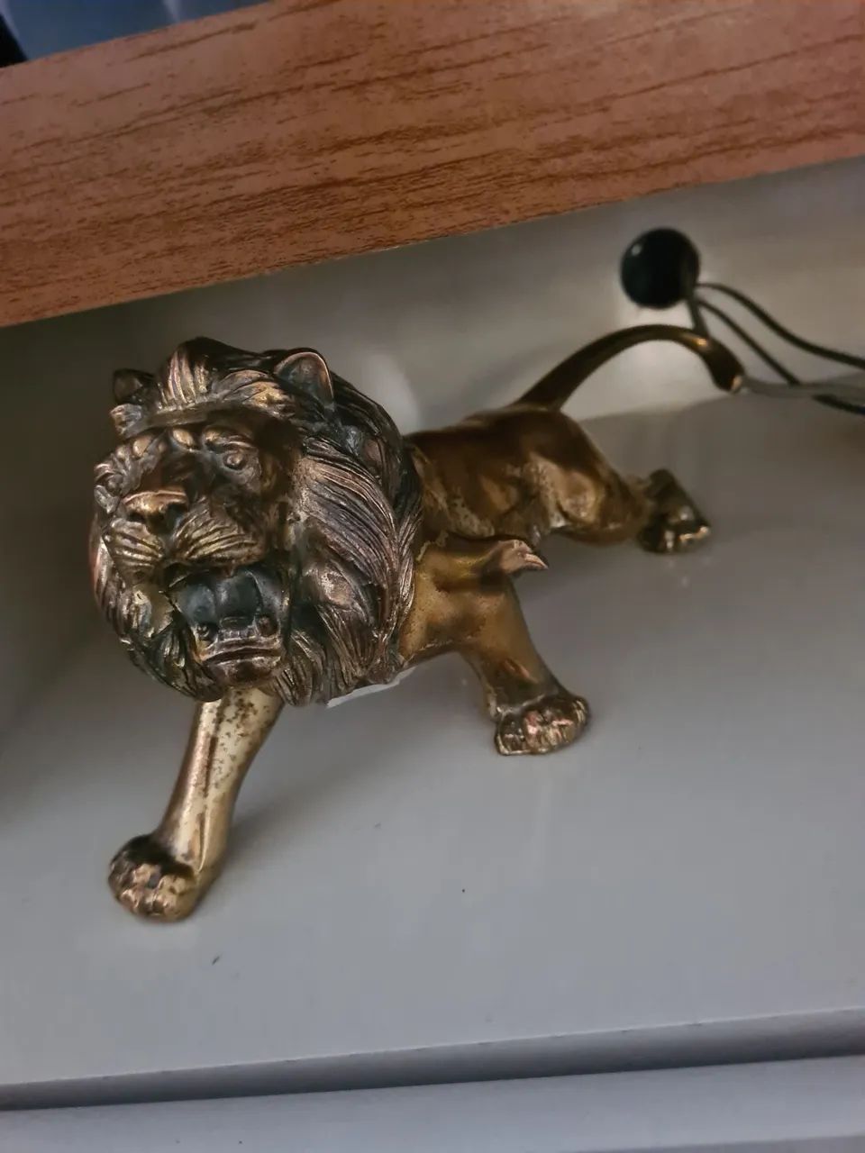 Leao de bronze - Foto 2