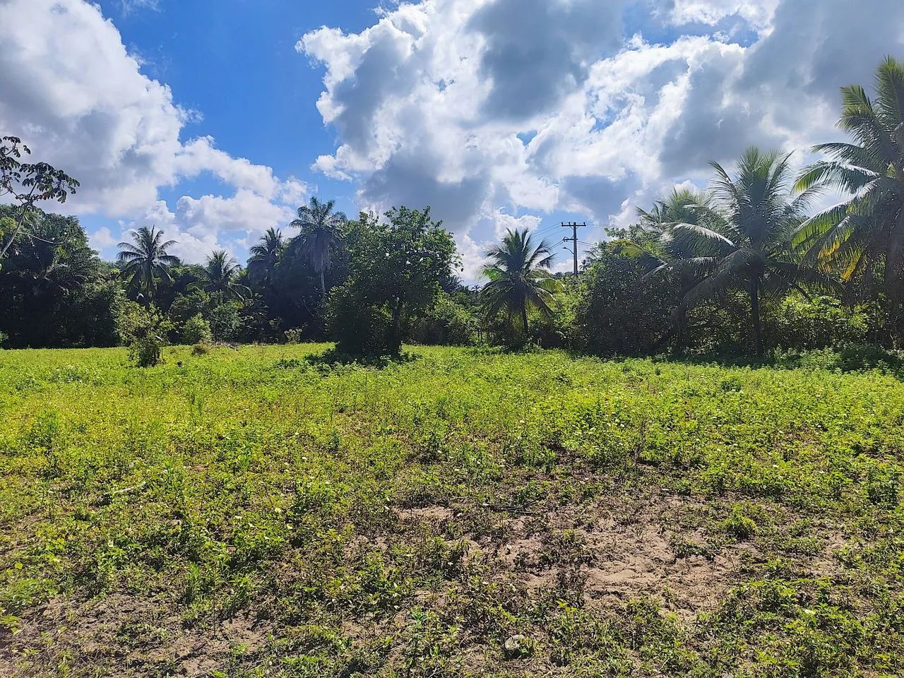 Terreno em ilha de mare - Foto 2