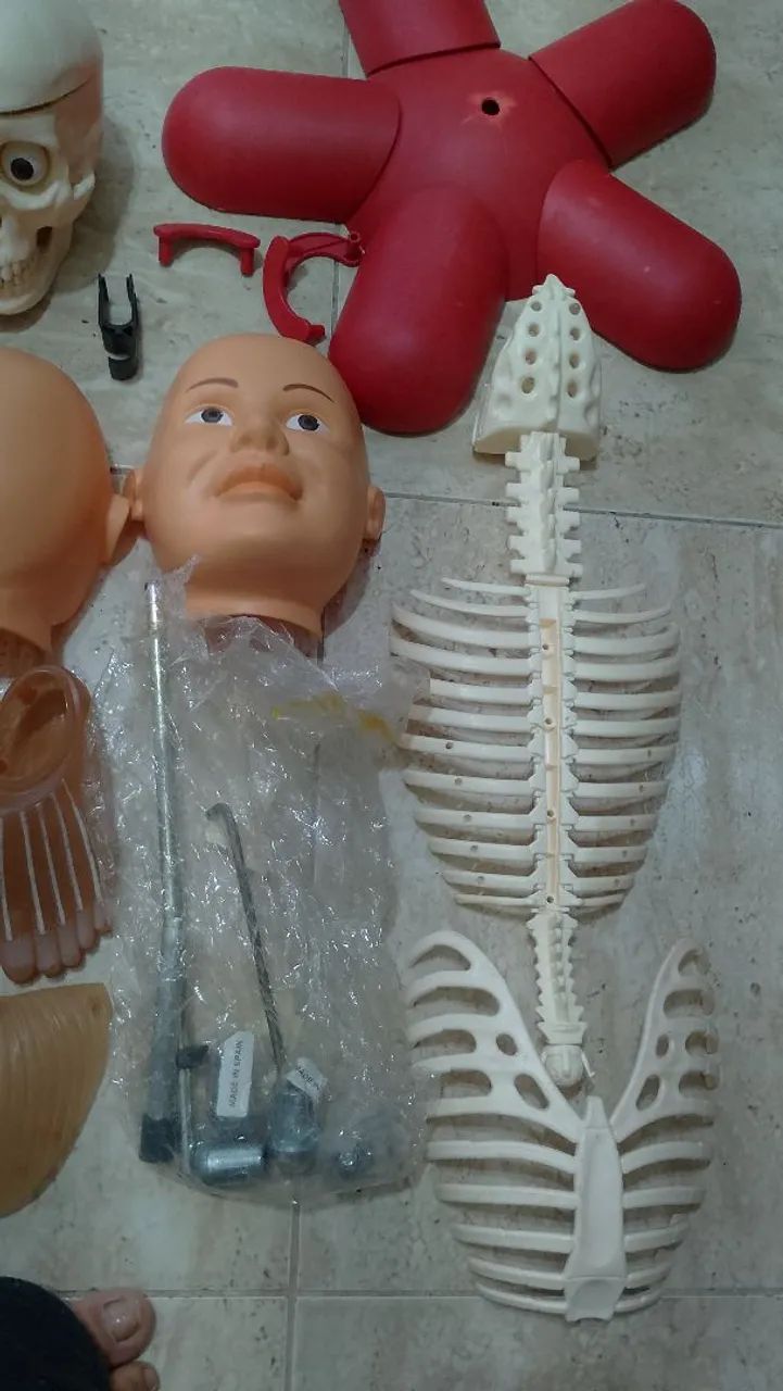 Coleção Corpo Humano SALVAT  - Foto 5
