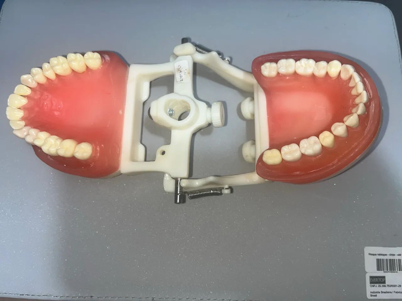 Manequim de Dentística PRONEW - Completo - Foto 2