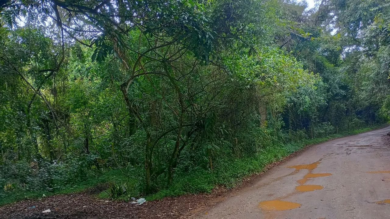 Área  em Onça do Pitangui.  Mg - Foto 5