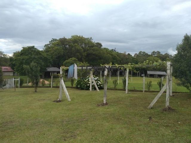 Mini Sitio dos sonhos - Foto 2