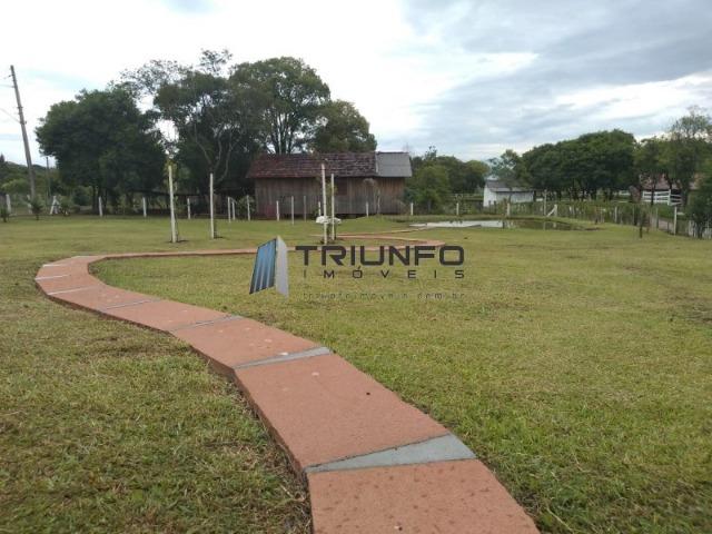 Mini Sitio dos sonhos - Foto 13