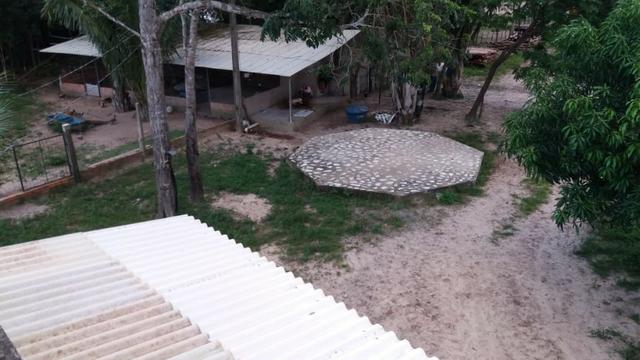 Fazenda montada em Itapecuru-Ma, 200 hectares,margeada pelo Rio Itapecuru! - Foto 11