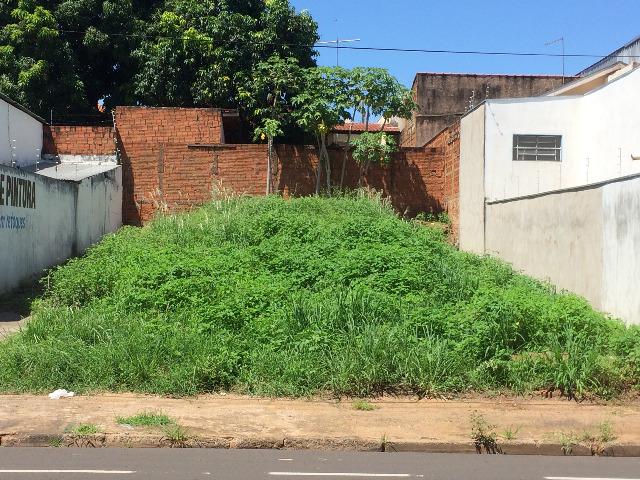 Excelente Terreno Comercial Av. Solon da Silva Varginha