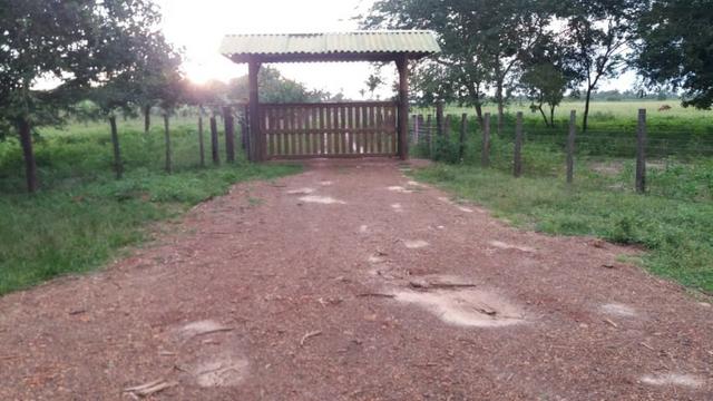 Fazenda montada em Itapecuru-Ma, 200 hectares,margeada pelo Rio Itapecuru! - Foto 5