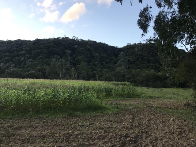 Sítio em consolação /Urubici sítio chácara - Foto 5