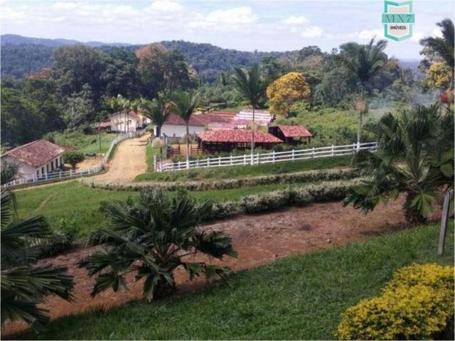 Aiquara . Ótima fazenda produtora de cacau - Foto 3